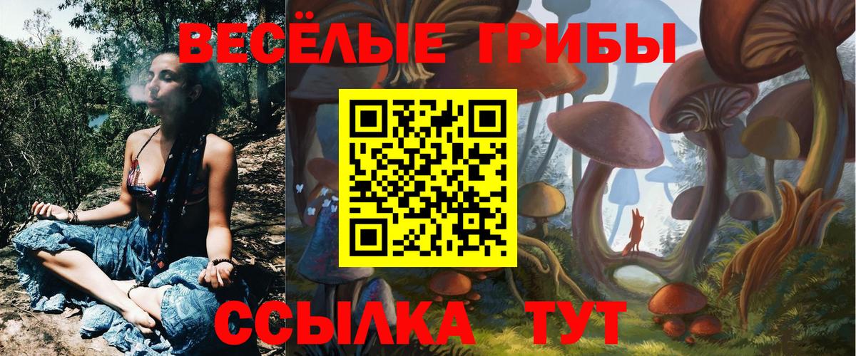 Галлюциногенные грибы мухоморы Дубна
